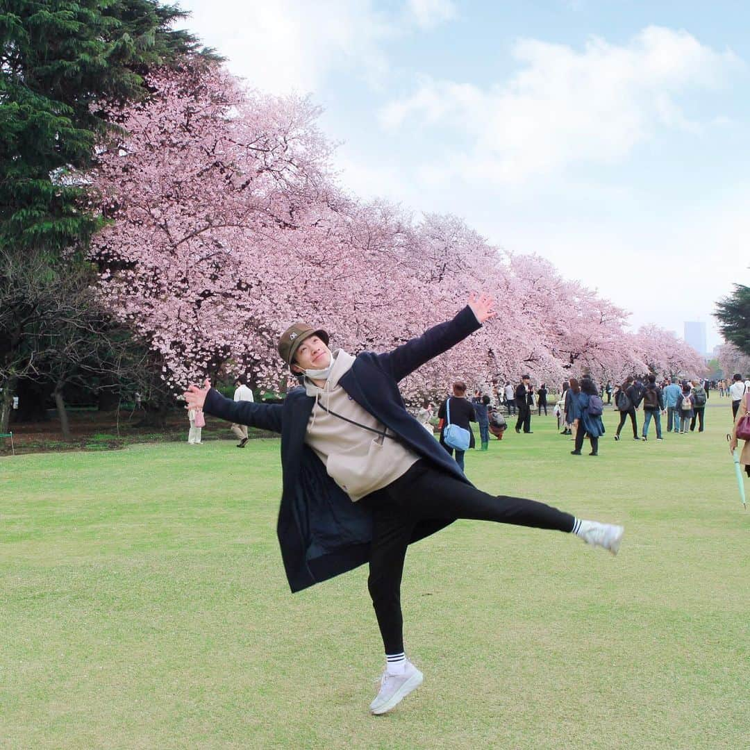 三永武明のインスタグラム：「素敵な未来のために今日という日を大切に生きよう！ #歩き花見🌸」