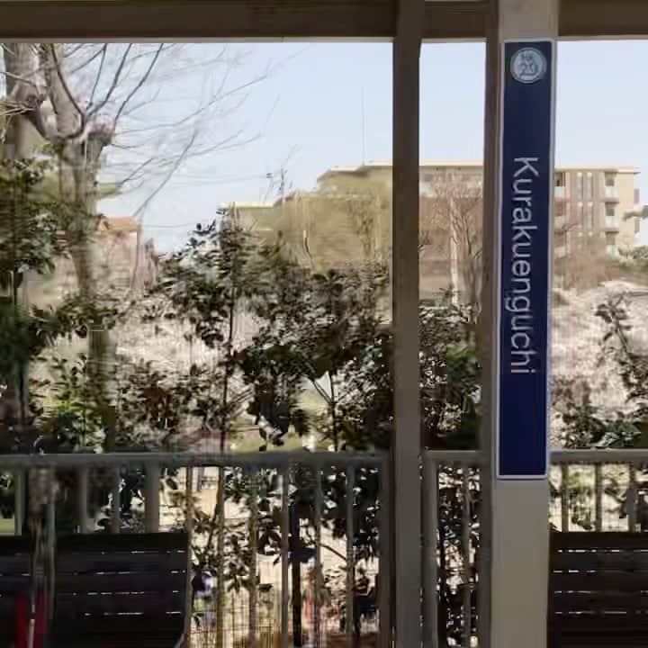 桂のインスタグラム