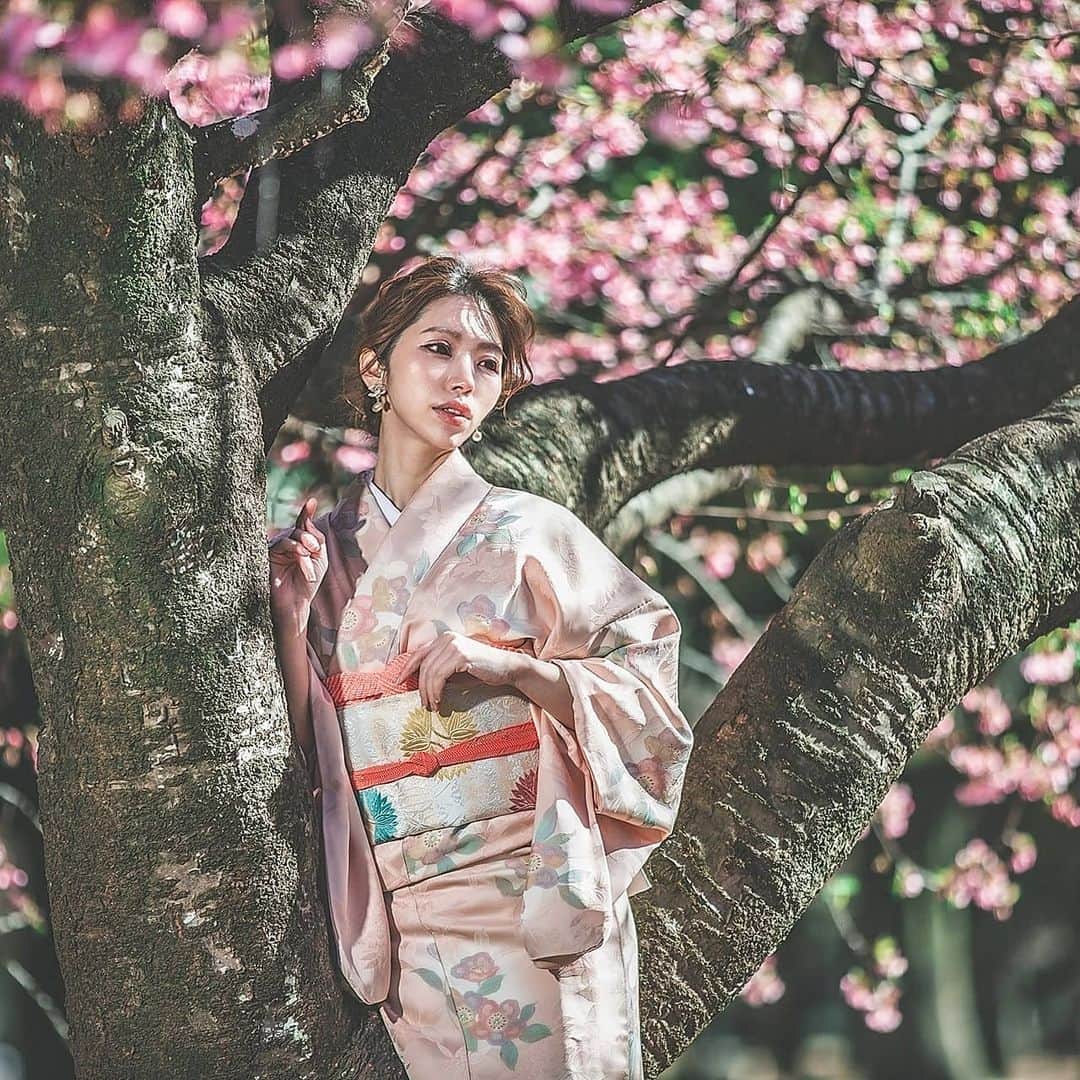雨宮めるさんのインスタグラム写真 - (雨宮めるInstagram)「. 撮影画像で気分だけでもお花見🌸  #cherryblossom #cherryblossoms #portraitphotography #portrait #portrait_shots #portraitmodel #slrcamera #slr_photography #slr #kimonogirl #kimonostyle #kimono #kimonofashion #japanesekimono #japanesegirl #桜撮影 #桜 #桜開花 #開花宣言 #河津桜 #代々木公園 #着物撮影 #着物美人 #着物ヘアアレンジ #着物ヘア #着物女子 #着物モデル #着物 #ポートレート #ポートレート撮影」3月15日 10時35分 - amamiya_melty