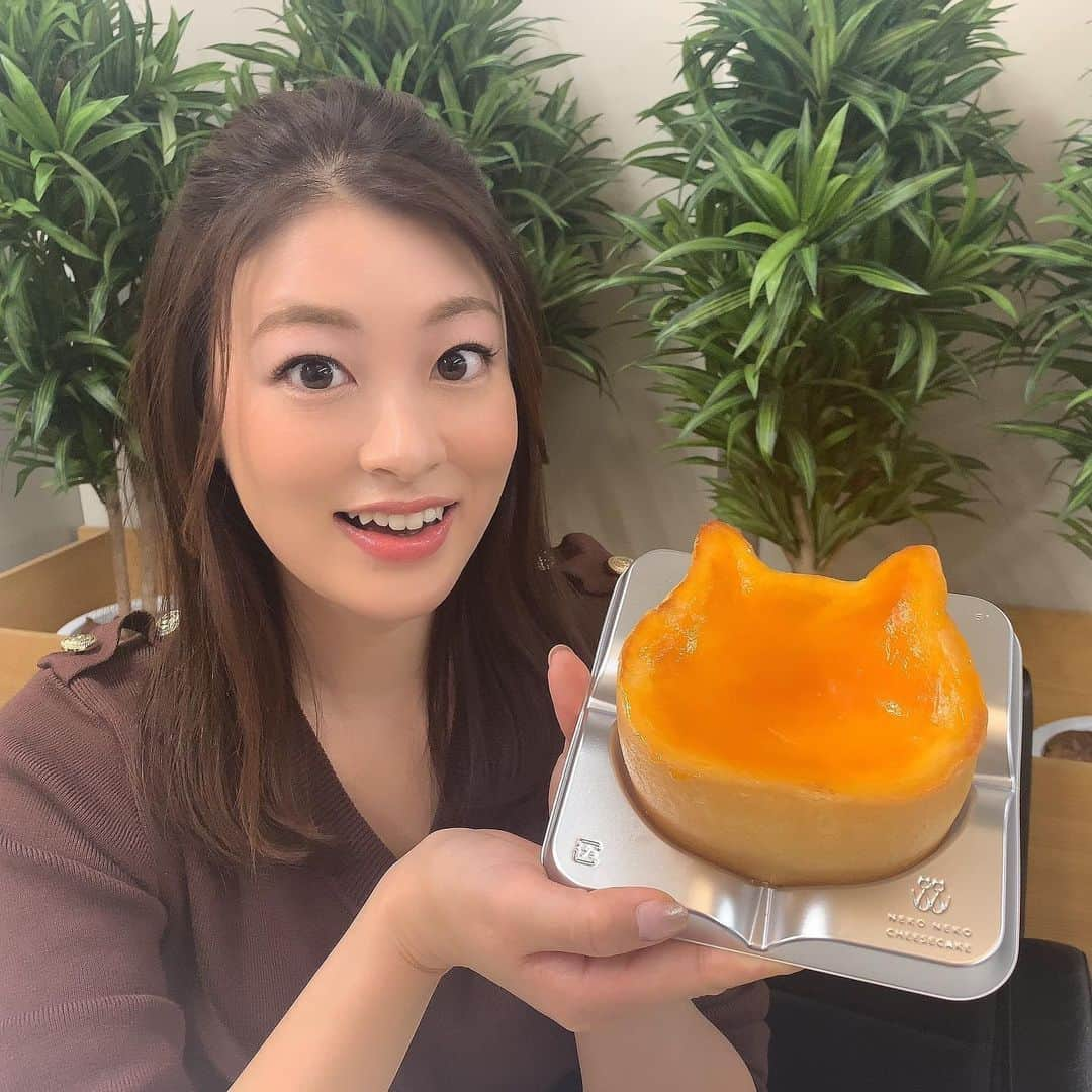 小宮山瑞季さんのインスタグラム写真 - (小宮山瑞季Instagram)「にゃんてかわいいのでしょう🐱❤ ネコ型のチーズケーキを発見したのです～✌💫 県内で唯一松本で買えるというこのケーキ、詳しくは今週のこれダネッ！で🌸🍃  #土曜はこれダネッ #県内初出店 #ねこ #猫 #ネコ好き #猫スイーツ #かわいい #チーズケーキ #cheesecake #ねこねこチーズケーキ #松本市 #matsumoto #アプリコット #見慣れない風景 #長野放送 #松本支社 #松本パルコ #parco #松本スイーツ #アナウンサー #小宮山瑞季」3月15日 19時33分 - komiyama_mizuki