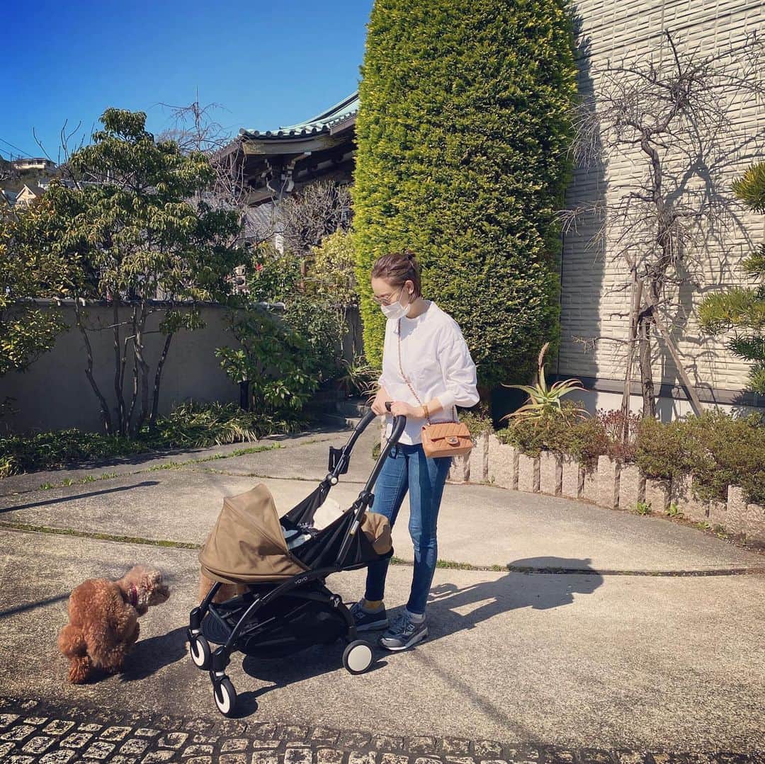 小泉里子のインスタグラム：「お天気いいね。 @babyzenstrollers に乗ってお散歩♡」