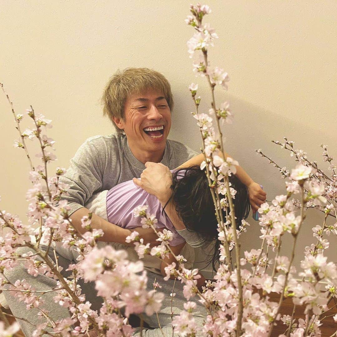 田村淳のインスタグラム：「我が家の桜は開花宣言🌸  みんなの近所の桜どんな感じ？  #桜」