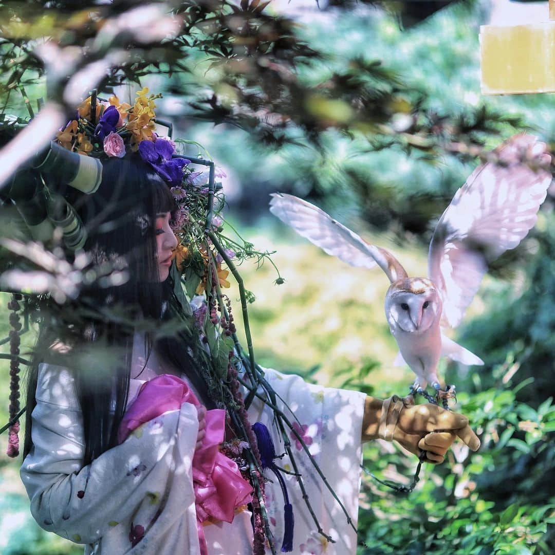 舘林佳史さんのインスタグラム写真 - (舘林佳史Instagram)「急遽の花魁ドラマティックフォト﻿ フクロウめっちゃかわいい😭✨﻿  ドラマティックフォト撮影受け付け中〜😘  ﻿ ﻿誰でも物語の主人公になれるをキャッチコピーに﻿ ドラマや映画の物語のワンシーンの様なDramaticStoryPhotと言う名前で活動作品作りをしています。﻿ ﻿ 大好評のドラマティックフォトのご依頼はこのクオリティーで30000円〜(ほぼ諸経費)で受け賜わっています)^o^( ﻿ ﻿ 素敵な作品を一緒に作りたい！コラボレーションしたい 美容師・メイクアップアーティストさん ・服飾デザイナーさんクリエイターさんも随時募集中です✨﻿ ﻿ お姫様になりたい👸物語の主人公になってみませんか^ ^⁉︎.﻿ ﻿ ﻿ たった一枚の写真で人生が変わる‼️﻿ ﻿ ﻿ ✨作品作り体験モデルに興味がある方 ドラマティックフォト依頼 撮影依頼 体験モデル募集﻿ ﻿ ①お名前②地域③年齢④身長⑤LINE ID⑥応募理由やお問い合わせ内容⑦最近の髪型スタイルの分かる写真をDM下さい✨﻿ ﻿ ﻿ モデル宣材撮影 コンポジ Book作り プロフィール撮影 ブライダルフォト記念撮影 衣装レンタル 成人式 着物 ドレスロケーションフォト スチール サロンモデル撮影 写真集等撮影のご依頼何でもお気軽にお問い合わせDM下さい✨📩 .﻿ ༚┈❁┈༚༝༝༚┈❁┈༚༝༝༚┈❁┈༚༝༝༚┈❁┈ ༚༝༝༚┈❁┈ . ．  #花衣﻿ #花魁﻿ #京都﻿ #作品作り﻿ #撮影会﻿ #撮影﻿ #花魁モデル﻿ #花魁撮影﻿ #観光PR﻿ #ポートレート﻿ #京都ポートレート﻿ #ドラマティックフォト﻿ #コラボレーション﻿ #コラボ﻿ #ポトレ﻿ #ポートレート撮影会﻿ #AilinQ﻿」3月15日 12時26分 - tatephotox