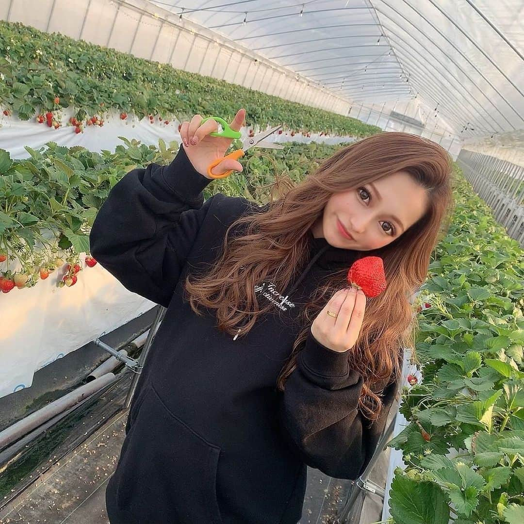 SUZUさんのインスタグラム写真 - (SUZUInstagram)「🍓🤍﻿ ﻿ ﻿ 2021年もいちご狩り行けたぁ♡♡﻿ ﻿ 超甘くて練乳いらんかった🐄﻿ 大きいし美味し食べ過ぎた♡♡ ５０個は食べたはず🤤  BABY連れて行けるようになったら﻿ いちごの着ぐるみ着せて連れて行きたいなぁ🍓☁️﻿ ﻿  #いちご狩り#いちご#いちご祭り   #妊婦#臨月#臨月妊婦#妊娠後期 #マタニティ#マタニティコーデ #妊娠生活#妊婦生活#ぷんにー #ぷんにーらいふ#妊婦コーデ #女の子ベビー#女の子ママ #妊婦さんと繋がりたい#👼🏻💓  #fashion#code#ootd#gal #オシャレさんと繋がりたい #ギャル#可愛い#女の子#いいね #インスタグラマー#ファッション」3月15日 12時33分 - suzuchibi