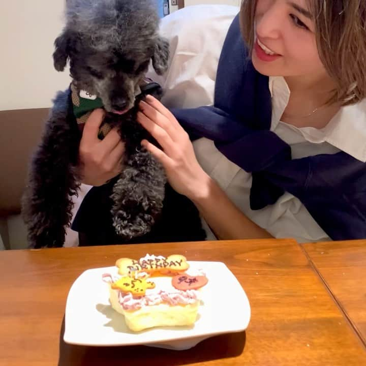 月本えりさんのインスタグラム写真 - (月本えりInstagram)「@okuyama_kaori @bostonterrier_betty かおりちゃんとベティがシリと私の誕生日祝いをしてくれました🎂  かおりちゃんに初めて会ったのは、私が読モーサツって写真集を作った時📸 当時、日本人離れした美しい顔のかおりちゃんに一目惚れしました😙  それからもう10年は経つのか........。 いまはゴルフ友達で、犬友達⛳️🐶  いつもありがとう❤️  これからもよろしくね💕  #belatedbirthday #happybirthday #bdaypresent #thankyou #goodday #lunch #birthdaycake #dog #dogcafe #dogfriendly #toypoodle #bostonterrier #doglover」3月15日 13時03分 - eritsukimoto