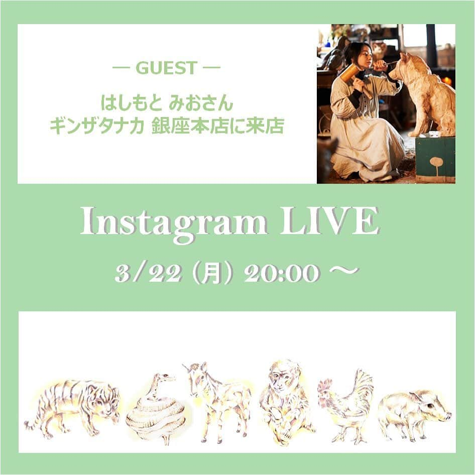 GINZA TANAKA 公式さんのインスタグラム写真 - (GINZA TANAKA 公式Instagram)「・ 【3月22日　ギンザタナカ初ライブ！　はしもと みおさんを迎えて】  ギンザタナカ初のライブ配信です！彫刻家はしもと みおさん銀座本店来店！ 純金オブジェコレクション「動物シリーズ」の共同製作者であるはしもと みおさんを銀座本店にお招きして純金オブジェシリーズの魅力をたっぷり語っていただきます。 木彫りの原型や制作秘話など、大人気の彫刻家であるはしもと みおさんの声を直接聞くことのできるチャンスですので、ぜひ、ご参加くださいませ。大人気の「ねこ」と新作6動物もじっくりご覧いただけます。  3月22日（月）20：00～　Instagram LIVE 「はしもと みおさん　ギンザタナカ銀座本店に来店！」   #GINZATANAKA #ginzatanaka #ギンザタナカ #田中貴金属 #田中貴金属ジュエリー#はしもとみお #とら #へび #うま #さる #とり #いのしし #十二支 #干支 #純金置物 #ねこ」3月15日 13時18分 - ginzatanaka_jp