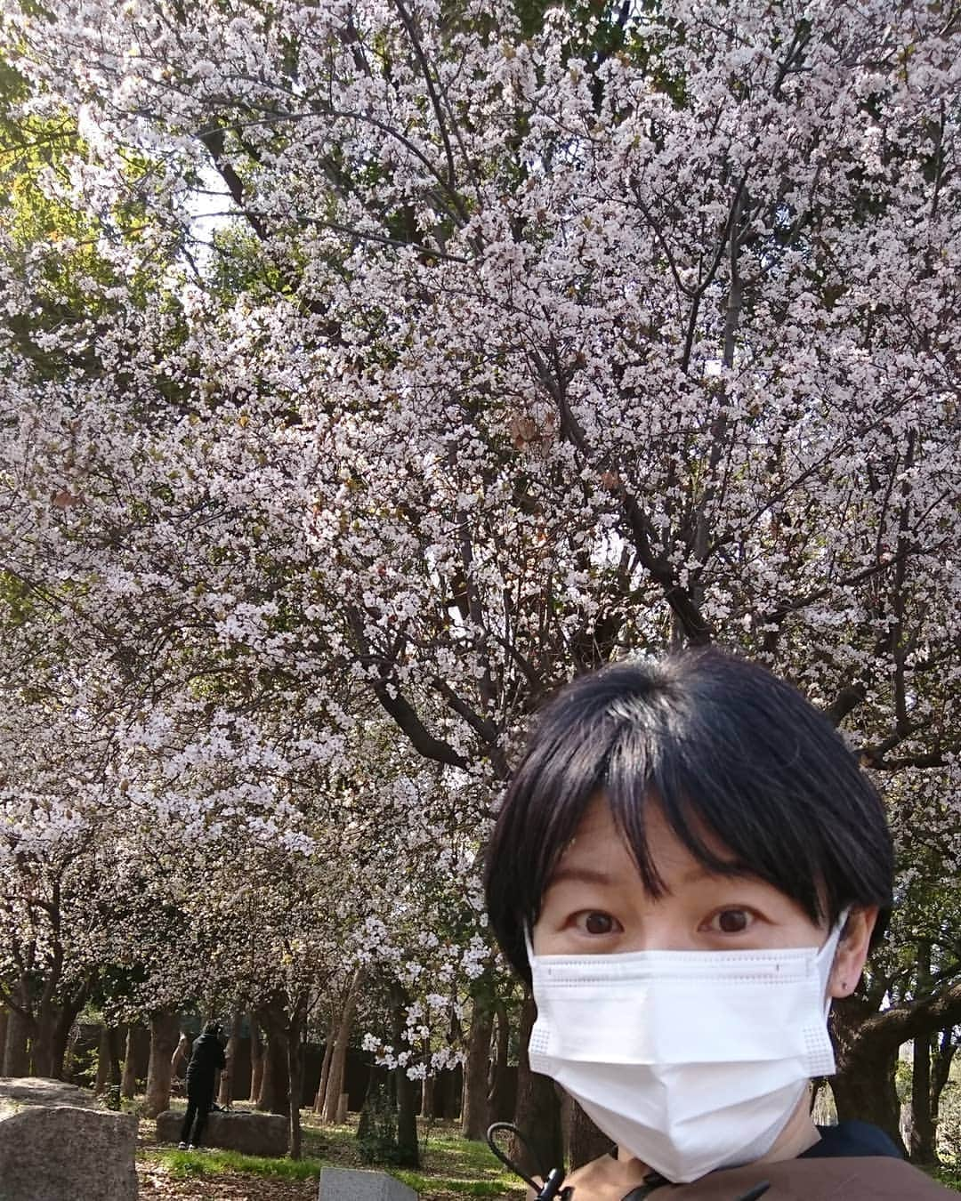 高橋靖子さんのインスタグラム写真 - (高橋靖子Instagram)「😀春が来てますよ〜🌸🌸🌸 #吉本新喜劇  #よしもと新喜劇  #新喜劇 #よしもと  #サクラ  #桜  #大阪  #osaka」3月15日 14時10分 - oyasupororo