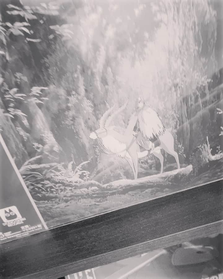 宮尾俊太郎のインスタグラム：「#レコード」