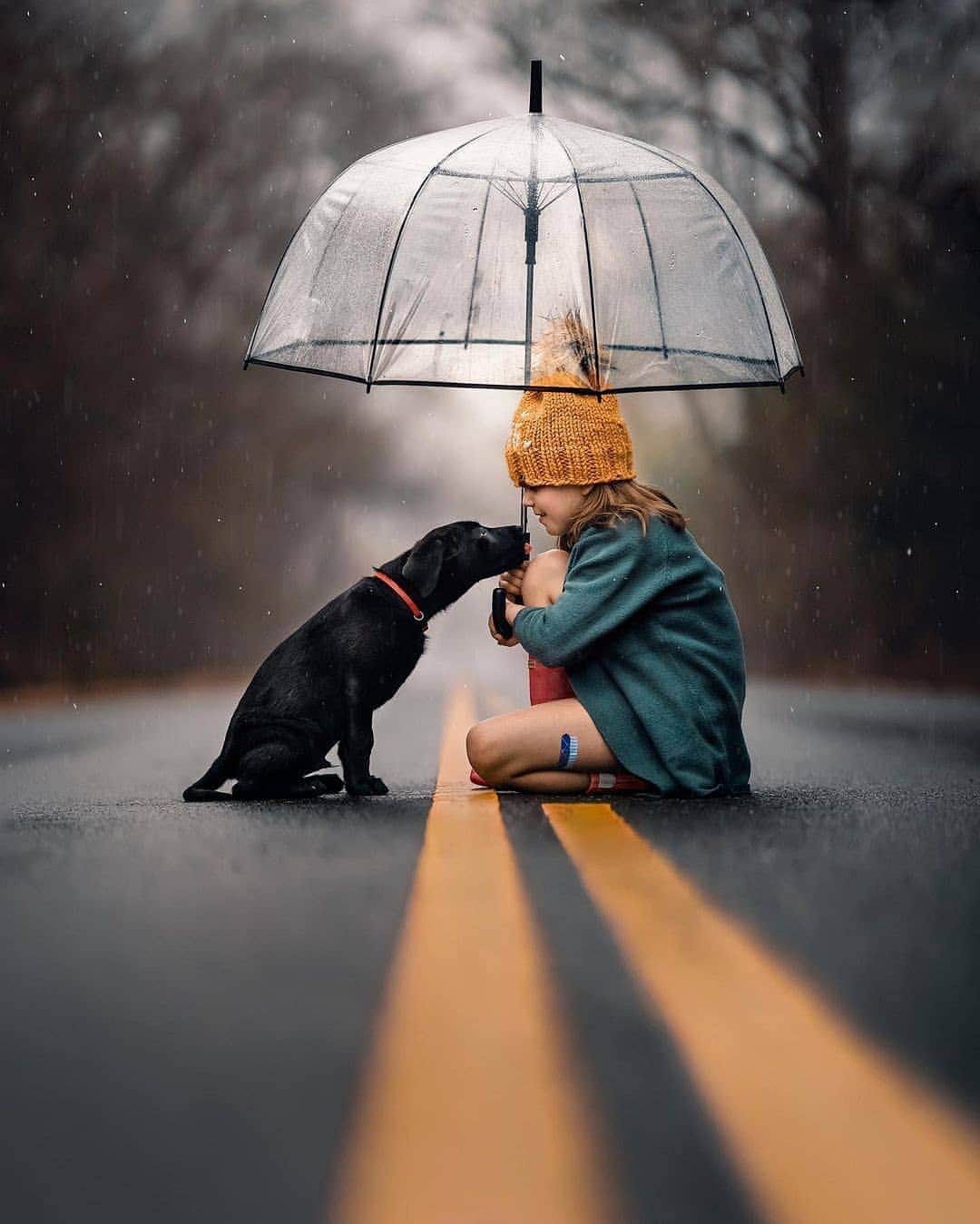 Nature|Folk|Portrait|Videoのインスタグラム：「Selection by  @unsalsicilli What is your pet name? ♥️ Comment Below pls. ━━━━━━━━━━━━━━━━━━━ Photo by @megsausted  Congratulations!  ━━━━━━━━━━━━━━━━━━━ Team #ig_mood Founder @humanistagram  ━━━━━━━━━━━━━━━━━━━」
