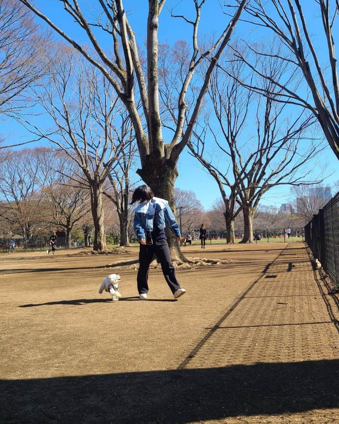 坂東希さんのインスタグラム写真 - (坂東希Instagram)「仲良さげショット🐶」3月15日 16時05分 - nozomibando_official