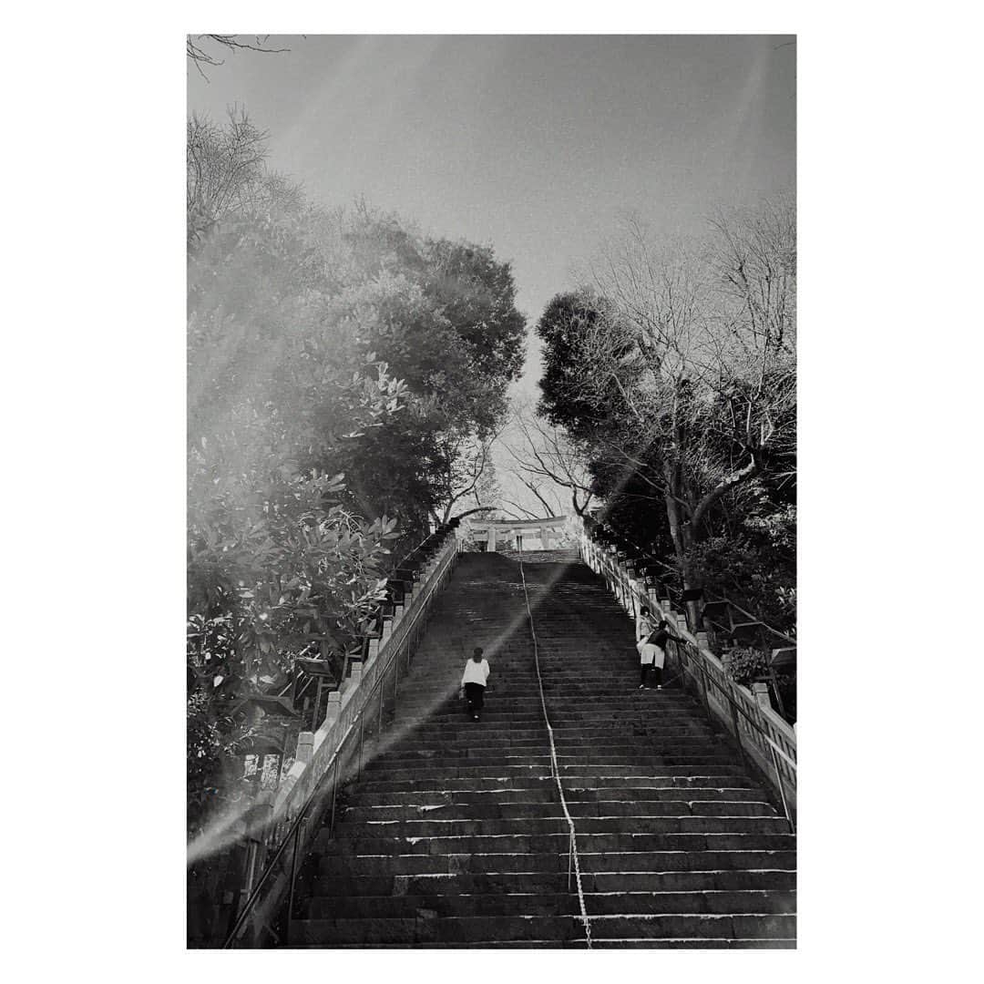 岩崎拓馬のインスタグラム：「⛩⛩⛩⛩ . . タク散歩  出世街道マッシグラ  一人ノ時間モ好キ . . #愛宕神社 #happytime」