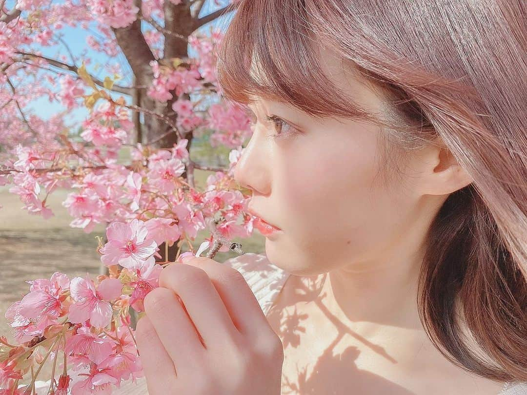 桃里れあさんのインスタグラム写真 - (桃里れあInstagram)「🌸 ・ 色味変わると雰囲気かわるね。 何枚目の色味が好きですか？ コメントで待ってます…!! ・ ・ ・  ・ ・ 【写真集】 1st電子写真集『yell』双葉社より発売中 ランキングTOP5入り✨セミヌードです。 ・ Amazon Kindle→www.amazon.co.jp/dp/B08WJ6PJPC 他楽天/DMM/SONY books等で発売中 ・ ・ 【ファンクラブ】 CHEERZ 桃里れあ https://cheerz.cz/artist/13853 サポーターになると… SNS以上にセクシーな写真や動画/グラビアオフショット/プライベート写真/メルマガ/イベント優先受付/会員No.発行 月額500円〜で見放題♡サポーター登録前の投稿は見れないので早めの登録がオススメです！ ・ ・ 【イベント情報】 3/20 zoom撮影会　団体4部残り1枠！ https://www.st-zoom.com/events/3tsuki20nichi-do-momosatorea-satsueikai ＋talkport ・ ・ 【雑誌掲載中】 2/3発売　アサ芸シークレット ↪︎パーツ美女ランキングくびれ部門ランクイン/インタビューあり 3/9発売　週刊アサヒ芸能 ↪︎ナースグラドル特集 ・ ・ 【DVD】 1/29 1stイメージDVD「ももれあ」発売 大好評Amazon売り上げ新着共にランキング1位🏅 https://www.amazon.co.jp/dp/B08NPQTQG3 ・ ・ 【レギュラーラジオ情報📻】 調布FMらじぷら　次回放送4/4(日)23:00〜23:59 アプリ《リスラジ》でお聴きください♪ メンバー：小林智絵（Pimm's）/二瓶有加（PINK CRES.）/りさ（まなみのりさ）/桃里れあ ・ ・ 【SNS💘】 Twitter：https://twitter.com/rea_momosato  TikTok：https://vt.tiktok.com/ZSwuNpx1/ YouTubeチャンネル《桃里れあ》：https://www.youtube.com/channel/UCfpzmulrUvR-x-55JEoZ7Mg 公式LINE：https://lin.ee/h96Deou ・ ・ ・ #グラビアアイドル #看護師 #ナース #nurse #ไอดอล #아이돌 #प्रतिमा #japanesegirl  #idol #cosmel #漂亮 #清秀 #粉我 #เซ็กซี่ #섹시 #萌 #asiangirl #bajutidurseksi #护士  #桜 #桜ポートレート #河津桜 #ポートレート #sakura #ポートレートモデル #iphoneカメラ #撮影会 #ファインダー越しの私の世界 #サクラ #横顔」3月15日 20時29分 - rea_momosato