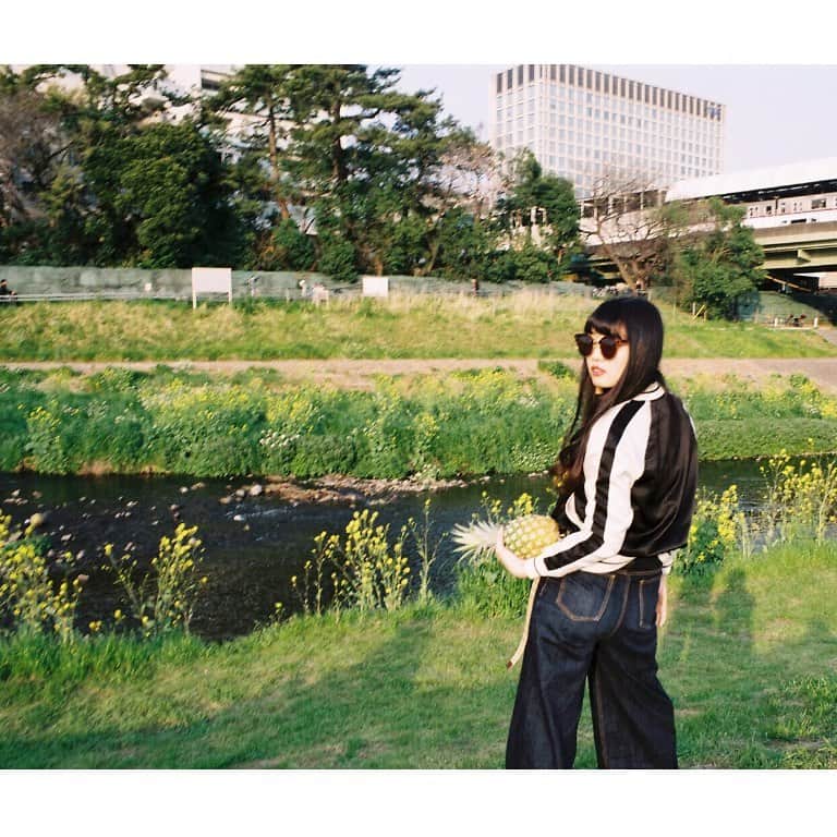 東野絢香のインスタグラム：「ここ最近感じた事。  「最近個展や展示を観に行く機会が多かった話」 たくさんの芸術の中で、自分が心惹かれるものってなんだろうって考えた時、 例えば他人に分からせる気なんてさらさらないような頑丈な鱗で覆われているものの、1枚だけが剥がれてて、 中身がどんな色か見えた時に、自分だけが中身の色を知った気持ちになって、心を鷲掴みにされるんだと感じた。 その感覚は「共感」「恋」「依存」いろんな言葉で表せそうな。 いつか私も個展ひらいてみたい。 その時は1枚だけ鱗剥がしとく、見つけて下さい。  「写真の話」 この写真は3年ぐらい前に友達に撮ってもらった写真で、お気に入りの写真。 パイナップル。  「おちょやんの話」 おちょやん観てくださって本当にありがとうございます。 ここからもどんどんどんどんどんどん面白くなっていきまして、とっておきのシーンがたくさんありまして、 観て欲しくてうずうずしています。 今週はテルヲさん。 テルヲさんはどうしようもないけれど、トータスさんは物凄く素敵な方でして、「みつえちゃんいい声やな」と空き時間に言うて下さって、嬉しすぎて毎日ウルフルズ聴いてます。 どうか見守ってください。  「春の話」 少しずつ暖かくなって春がやってきた。 私はあまり春が得意ではなくて、花粉症やら寒暖差やら出会いと別れやらやって来るので、今年は春をゆっくり楽しんで過ごせたらいいなぁと感じております。  本日も皆様、お疲れ様でございます。」