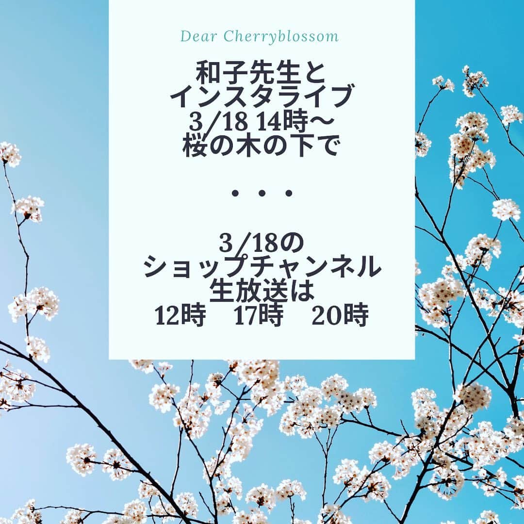岡田美里さんのインスタグラム写真 - (岡田美里Instagram)「東京は桜が咲き始めました🌸 待望の！ 和子先生との久しぶりのインスタライブは、桜の木の下から！  その日はショップチャンネルの生放送です。日傘な帽子のニューバージョンとペーパーブレードの帽子、や、麦わらバイザーが発売になります。  どちらも観ていただけたら嬉しいです🌸🌸🌸 お花見弁当も披露しちゃいます🌸」3月15日 21時56分 - millieokada