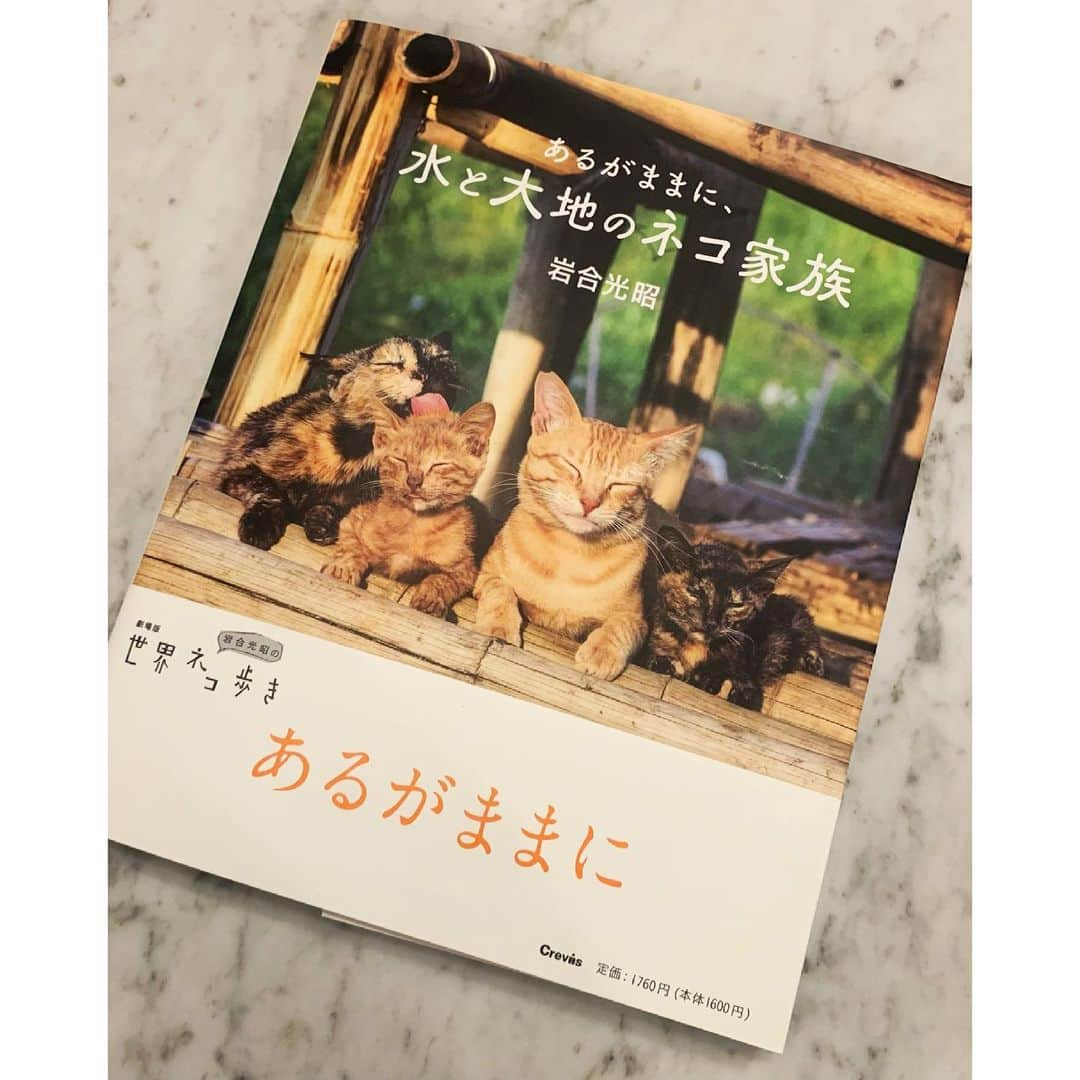 松島花さんのインスタグラム写真 - (松島花Instagram)「: 明日3月16日(火) 23:15〜23:45 NHK BSプレミアム「魂のタキ火」に 出演します😊😊😊🔥 動物写真家の岩合 光昭さんと モデルの黒田 知永子さんと ご一緒させて頂きました🙏🏻 ロケ地は木更津です✨天気にも恵まれ 富士山と共に綺麗な夕日が見れました🌅 是非、みて頂けたら嬉しいです✨ . これまで岩合さんの写真展へ行ったり、  "世界ネコ歩き"の番組が好きだったので、 ネコ好きとしてはお会いできてとても嬉しかったです🐈 最新の写真集にサインまで頂いちゃいました🐾 . そして、黒田さんは長年第一線で活躍されている モデルの大先輩です❣️お会いしたことはありましたが、 ゆっくりとお話するのは今回が初めてでした✨私と同じく 黒田さんも保護猫と保護犬と暮らしています🐈‍⬛🐕 とってもカワイイんですよ〜🐾 : #NHK #BSプレミアム #魂のタキ火 #岩合光昭 さん #黒田知永子 さん」3月15日 21時54分 - hana_matsushima_official