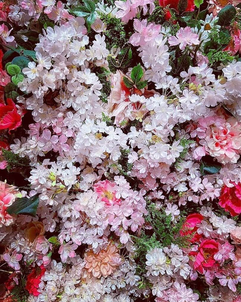 宮村ななこさんのインスタグラム写真 - (宮村ななこInstagram)「Fake. #photography #photo #flowers #flower #flowerstagram #love #loveyourself」3月15日 22時45分 - miyamuchan_001