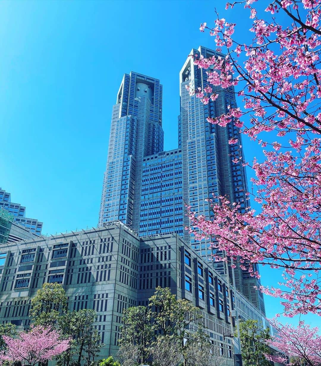 有吉弘行さんのインスタグラム写真 - (有吉弘行Instagram)「ここ好きです。 花を入れ込むダサさはご愛嬌。」3月15日 22時54分 - ariyoshihiroiki