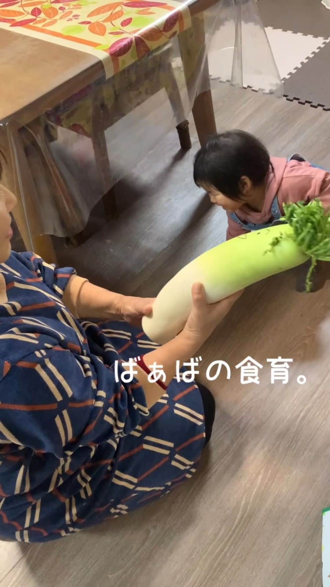 前田阿希子のインスタグラム：「とんでもなく見事な… まるで誰かさんの足のような 大根を母が買ってきました🤣  双子たちは、大興奮。  かわいそうな大根さん😂  この後、煮物にして、みんなで美味しく頂きました🙏  さてさて、明日16日に、カインデストさんとのインスタライブをします🥰 是非よろしければフラリと遊びに来てくださいね❤  【日時】 ・3月16日(火) 夜10時から (子供の入眠に合わせて前後します)  ・カインデストさんのベビーフードかペーストを使ったクッキングライブ  ・色々お話しましょう🥰  皆さんとお話出来ることを楽しみにしていますー😆 ・ ・ ・ #thekindest#カインデスト #離乳食#ママスタグラム #10倍粥#りょうりすたぐらむ #簡単レシピ  #双子#twins #双子ママ  #双子ママと繋がりたい #子育て#コドモノ #こどものいる暮らし  #こどものいる生活  #双子のいる生活 #ままのて#たまひよ #べビスタグラム #mamanokoムービー #mamari #幸せ #笑顔 #子供 #野菜 #ライフスタイル #愛 #ライブ #ベビフル」