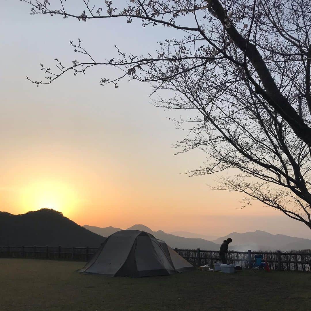 Ayakoのインスタグラム：「・ ・ そうだ。キャンプへ行こう。 ・ 思い立ったが吉日。テントをレンタル出来る事を知った私は、段取りや事前準備をすっ飛ばしてその場で思い付く限りの荷物をコンパクト車に積み込み初のキャンプ地へ向かった。 ・ 嘘だと思われるかもしれないが、意外にも夫は石橋を叩いて叩いて結局渡らないタイプ。発案しても却下される事が多く、考え出すと永遠に行動に移さないので、今からキャンプが出来ると知った私が強行突破する事にしたのだった。 ・ しかし、ここでまず、既に第一の試練が我々を襲っていた。コンパクトカーの収納力を過信し過ぎていた私。荷物に挟まれ、車内にてエスパー伊東と化していた。 ・ ・ 現地へ着き、ドキドキしながら借りたテントは意外にも簡単に設置でき、あれ…キャンプ…楽勝じゃん！という安易な考えが後々私と夫を絶望の淵へと突き落とす事になるとは、この時はまだ知る由も無かった。 ・ ・ お洒落な皿で…お洒落なキャンプ飯… ・ そんな事を想像していた夕飯時。炭で黒くなった顔を気にする暇もなく、焚き火に翻弄されていた。 ・ ママぁ、お腹すいたよぅ。焼き鳥はまだぁ？ ・ 焼き鳥⁉︎ あれ…焼き鳥…はぁぅ！！炭になってるーー！！！ ・ 火加減とは。恥ずかしながら、35年生きてきてその言葉の真の意味を初めて実感した。家だとボタン１つで火加減を調節出来るのに…。ここでは本当に火を加減出来ないと、焼き鳥を失うことになるのだ。 ・ そして、日が暮れたと同時に、昼間の暑さを裏切る形で寒さが襲ってくる。 ・ 寒い。とても寒い。もう、憧れていたお洒落キャンプファッションなどどうでも良い…。手当たり次第に着られる物を身につけ、出来上がったのは黒ダルマ。黒い軍手に黒いダウンのフードを頭から被り、黒いマスク。おまけに額にはお墨付きならぬ、お炭付き。焼き鳥を失った我々は、震える手でししゃもを串に刺し黙って火に向けていた。 ・ キャンプって…こんなんだったっけ… ・ 思考回路が鈍りつつ、巻寿司を口に含み飲み込む。寒さと乾燥で動きが鈍くなっていた食道に海苔が張り付く。 ・ お茶…お茶を…誰か… ・ キラキラしたキャンパー達が集うキャンプ場の片隅で、一瞬生死を彷徨った主婦が居たなんて誰が想像しただろうか。 ・ ・ キラキラキャンパーを横目にササっと食事を済ませ、せめて煙臭くなったこの身体を洗いたいと思いシャワーへ向かう。さぁ、出でよ温水！全てを洗い流しておくれ！100円を投入…できない。何度も格闘したが、温水が出る為の硬貨が入っていかない。この段階でもう、私の思考は違う方向へと歩き出していた。 ・ そうだ。これは試練だ。現代の文明の利器に甘え過ぎた私への禊なのだ。 ・ シャワーも諦め、キンキンに冷えた水道水で顔を洗いながら昨日までの甘えた自分を反省していた。 ・ シャワーを浴びると言って出て行ったのに、戻ってきたら凛とした表情で前髪だけを濡らし、神様や禊について語り出した私を見て本当に怖かった。と、夫は後に語っている。 ・ 消灯時間が過ぎ、四方のテントから響き渡るイビキのカルテット。いつまでも温もらない足先。毛布に包まりながら眠れぬ夜を過ごした。 ・ 翌朝、登ってくる朝日を眺めながらホットコーヒーを飲んだ時には涙が出そうだった。 ・ 朝が来るって、本当に有り難いんだなぁ… ・ ・ 理想とはかけ離れた初心者キャンプ珍道中。段取りの悪さ故、便利に囲まれた普段の生活がどれだけ恵まれているのかを思い知った。そして、己の無力さも痛感した。 ・ 私の気持ちとは裏腹に、子供達はとても楽しかったらしくテントが欲しい！また来週もやりたい！と帰りの車内ではしゃいでいた。 ・ あなた達が楽しかったなら良かったよ…。幸せな気持ちに浸りつつ、ポカポカとした陽の光に包まれた助手席で、エスパー綾子は四肢を折り曲げたまま眠りについたのであった。 ・ ・」