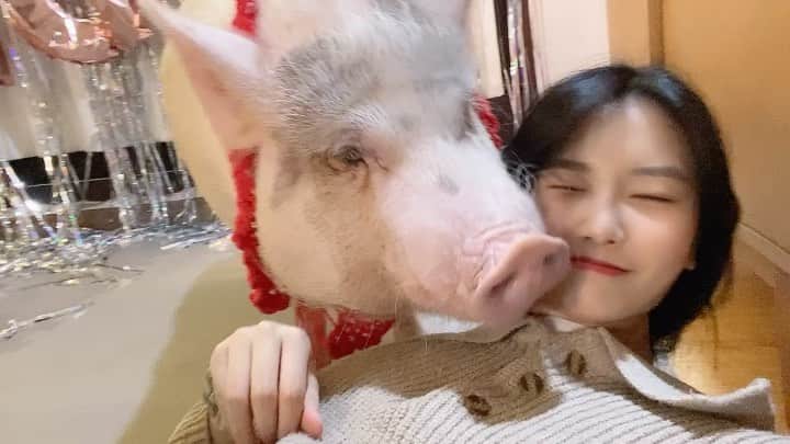 suna（ソナ）のインスタグラム：「핑돼 얼굴 짱커」