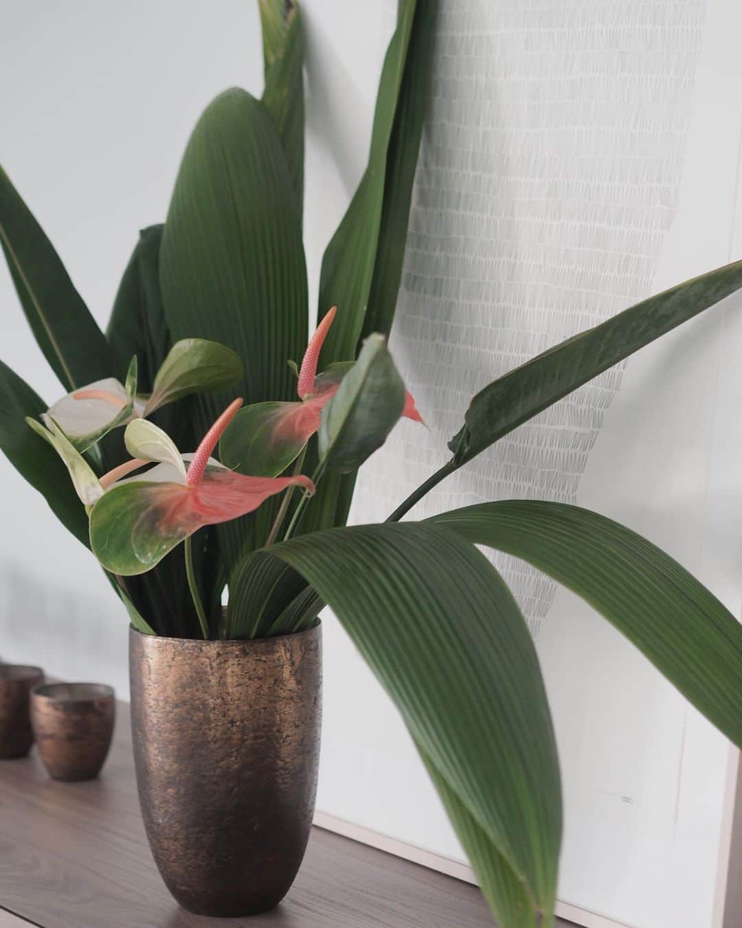 のインスタグラム：「Flowers for the week﻿🌿 ﻿ ﻿ ﻿ 家の中に活気をくれる今週の花﻿ ここ数日の気候もあって気分はトロピカル😁🍍🌺﻿ ﻿ #カークリコ﻿ #アンスリウム #スパイス #デナリ﻿ ﻿ ﻿ ﻿ #flowerstagram  #flowersfortheweek #花のある暮らし #花のある生活 #今週の花 #naoliving_flowers #naoliving_interior﻿」