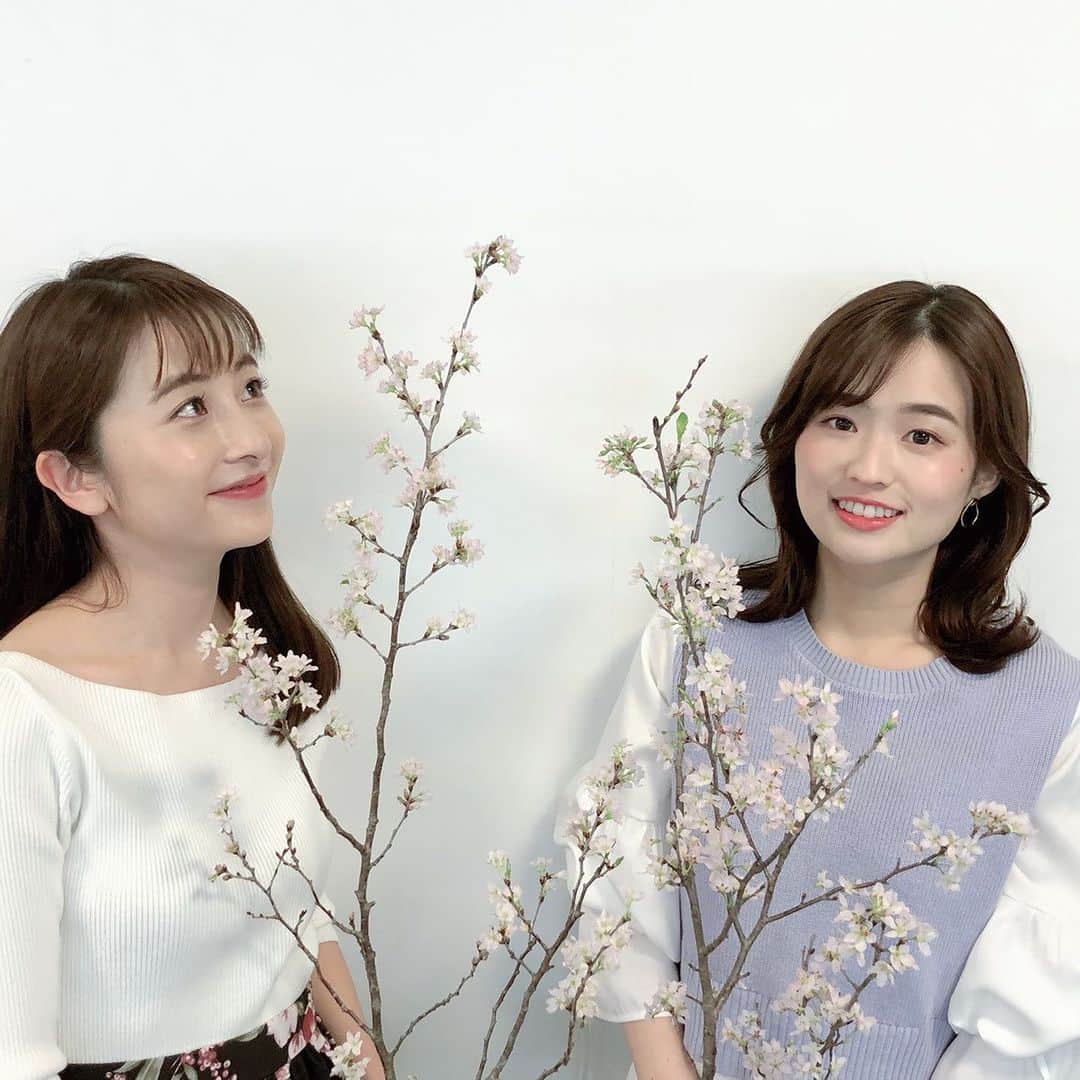TBS「あさチャン！」のインスタグラム：「🌸 東京も桜が開花し、暖かく 日々春めいていますね☺️ きょうのあさチャンでも 「おうち桜」を紹介しました🤗 皆さんも今年はおうち時間で お花見を楽しんでみてはいかがですか？😆✨ ・ ・ #tbs #あさチャン #アナウンサー #日比麻音子 #篠原梨菜 #しのまおコンビ」