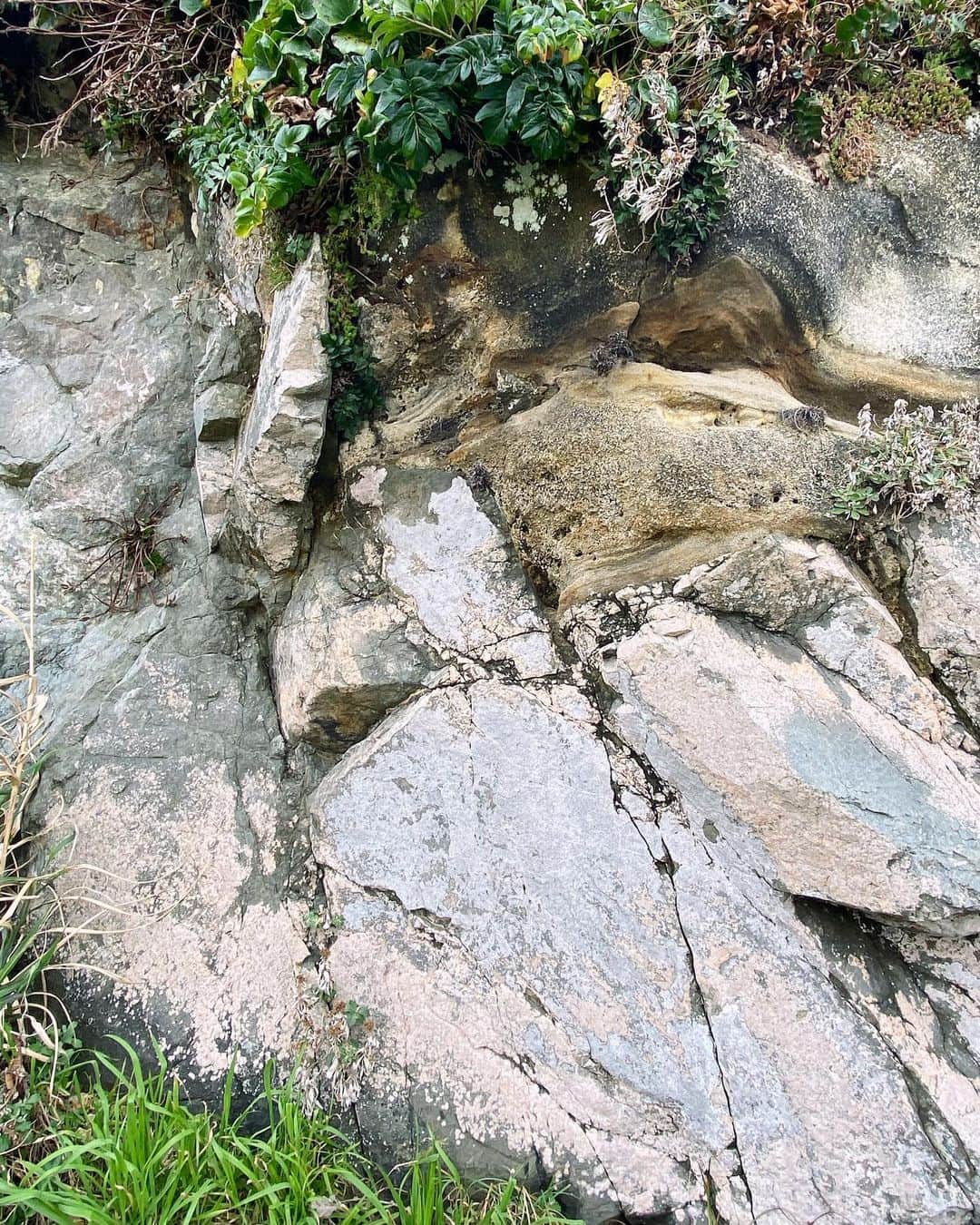 早坂香須子さんのインスタグラム写真 - (早坂香須子Instagram)「石とか、岩とか、地層とか、小さい頃から好き🤍」3月16日 12時59分 - kazukovalentine