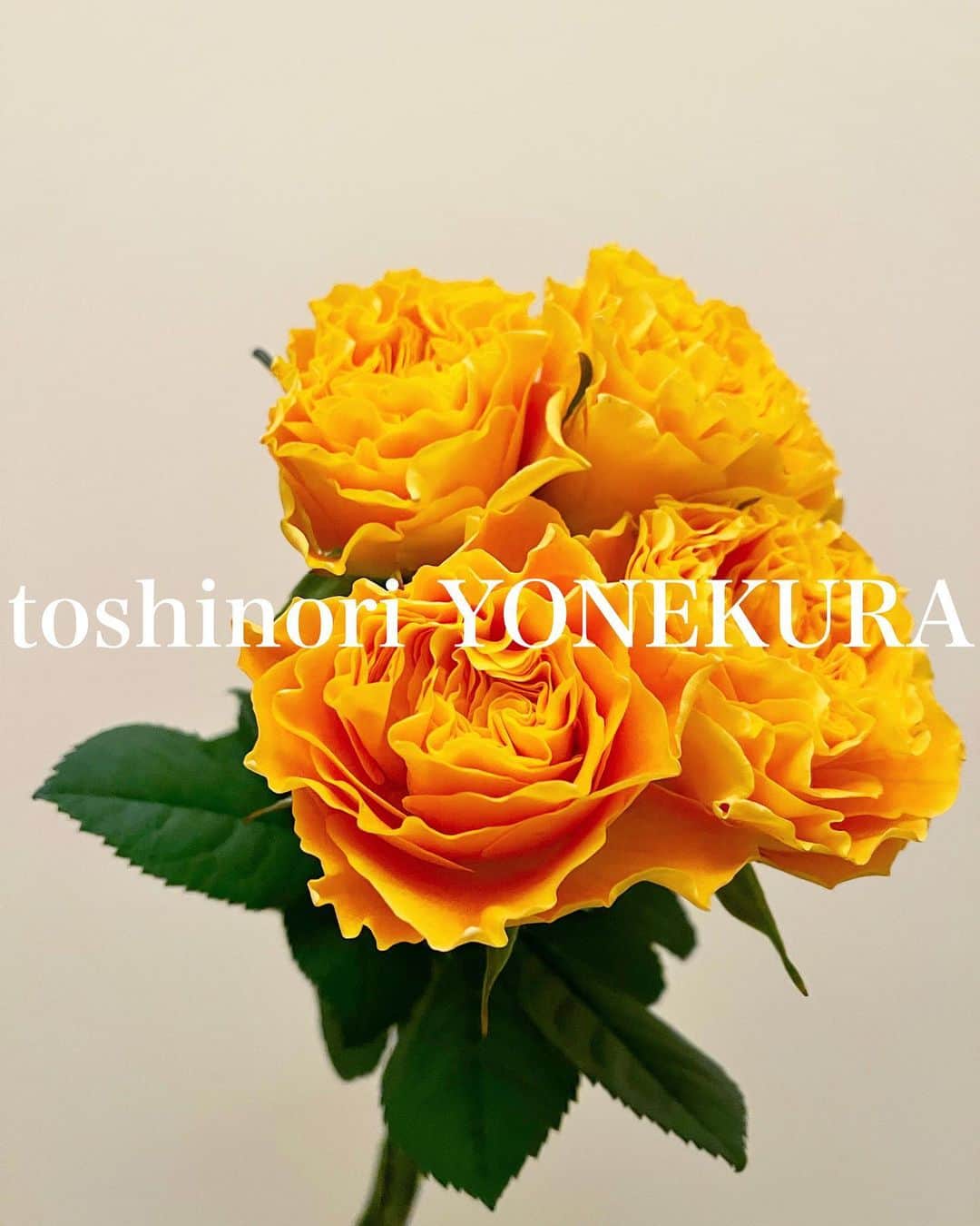 米倉利紀さんのインスタグラム写真 - (米倉利紀Instagram)「flowers of this week #男花 #花のある生活」3月16日 23時53分 - toshi_yonekura