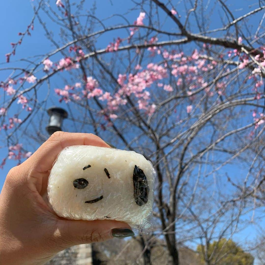 中谷萌さんのインスタグラム写真 - (中谷萌Instagram)「今週末にも桜、満開みたいですねぇ🌸  お花見したいですよね〜 今年はジョギング中に見るだけでいっか🌸🌸☺️  ※写真は去年のものです☺️」3月16日 23時55分 - n_moepi_fbs