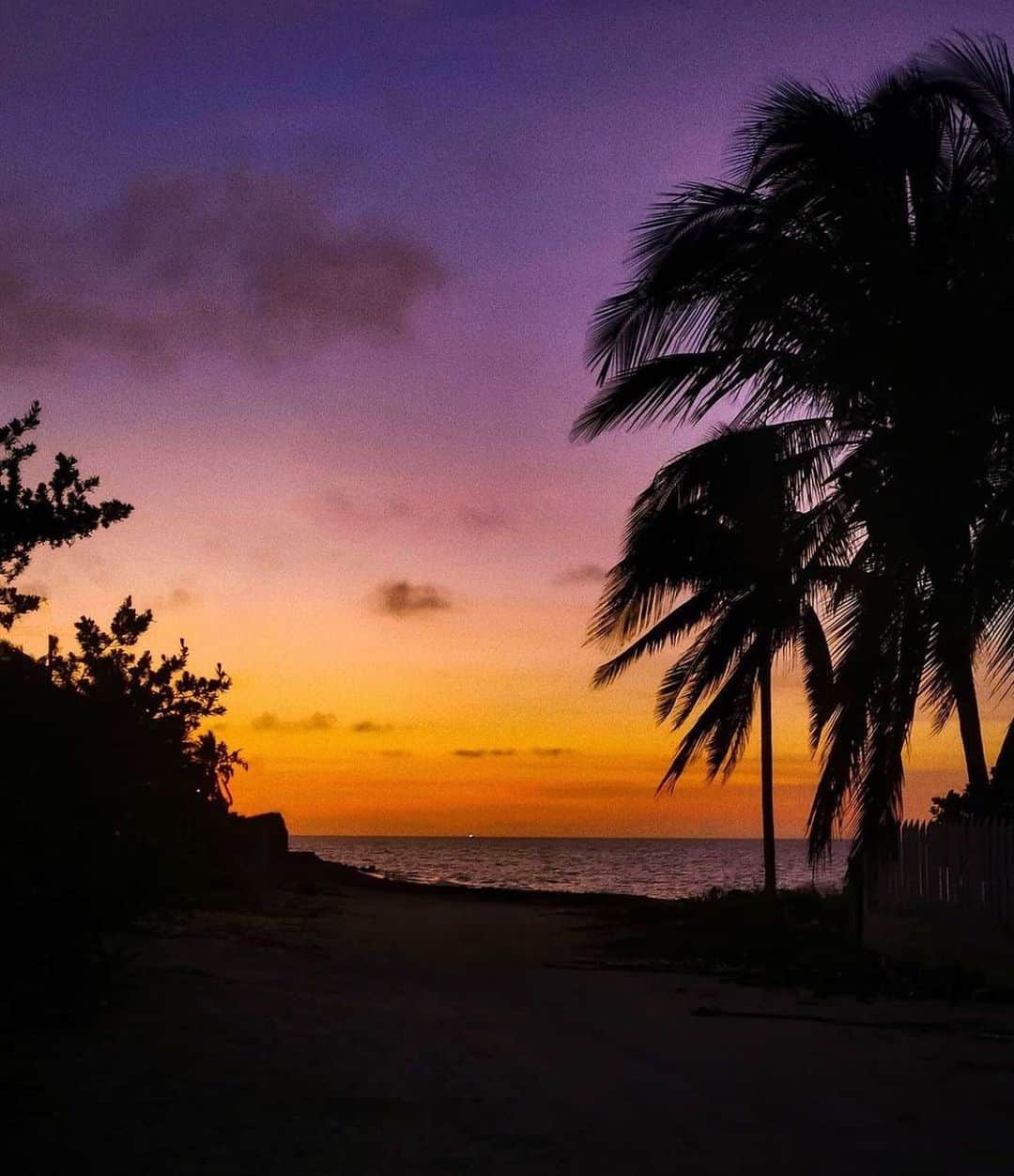 のインスタグラム：「💜🧡💛 Hold the vision, trust the process and watch the magic... 🔮」