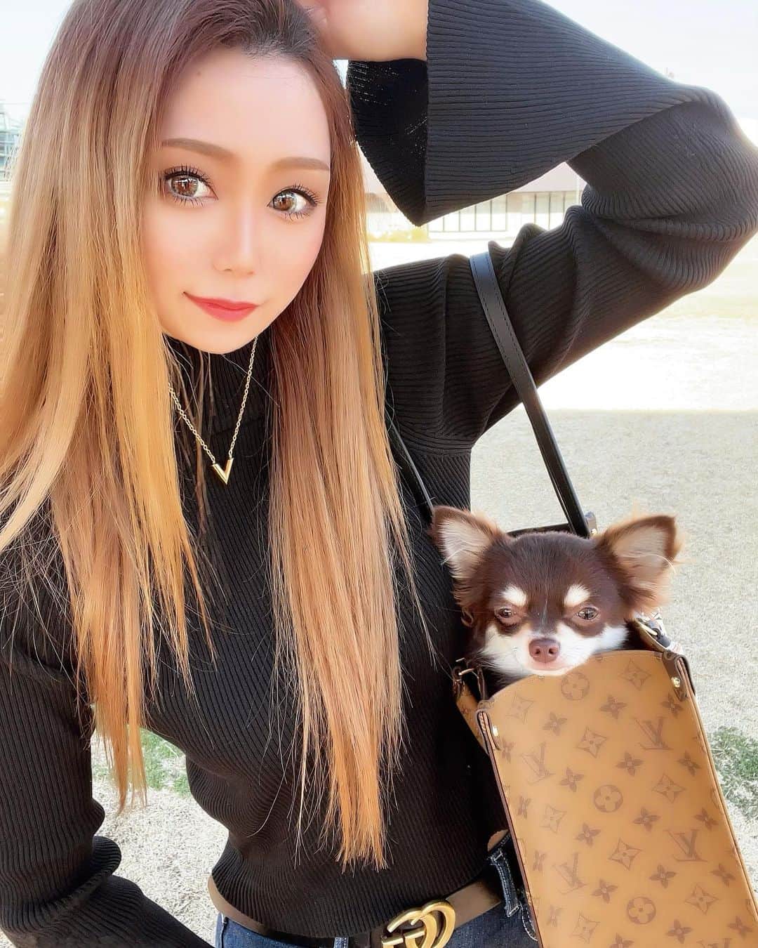 HIMEKAのインスタグラム：「. . ルブと公園行った🐶❤️ 前まで全然歩かなかったのにたくさん歩くようになった😍 . . #チワワ #散歩」