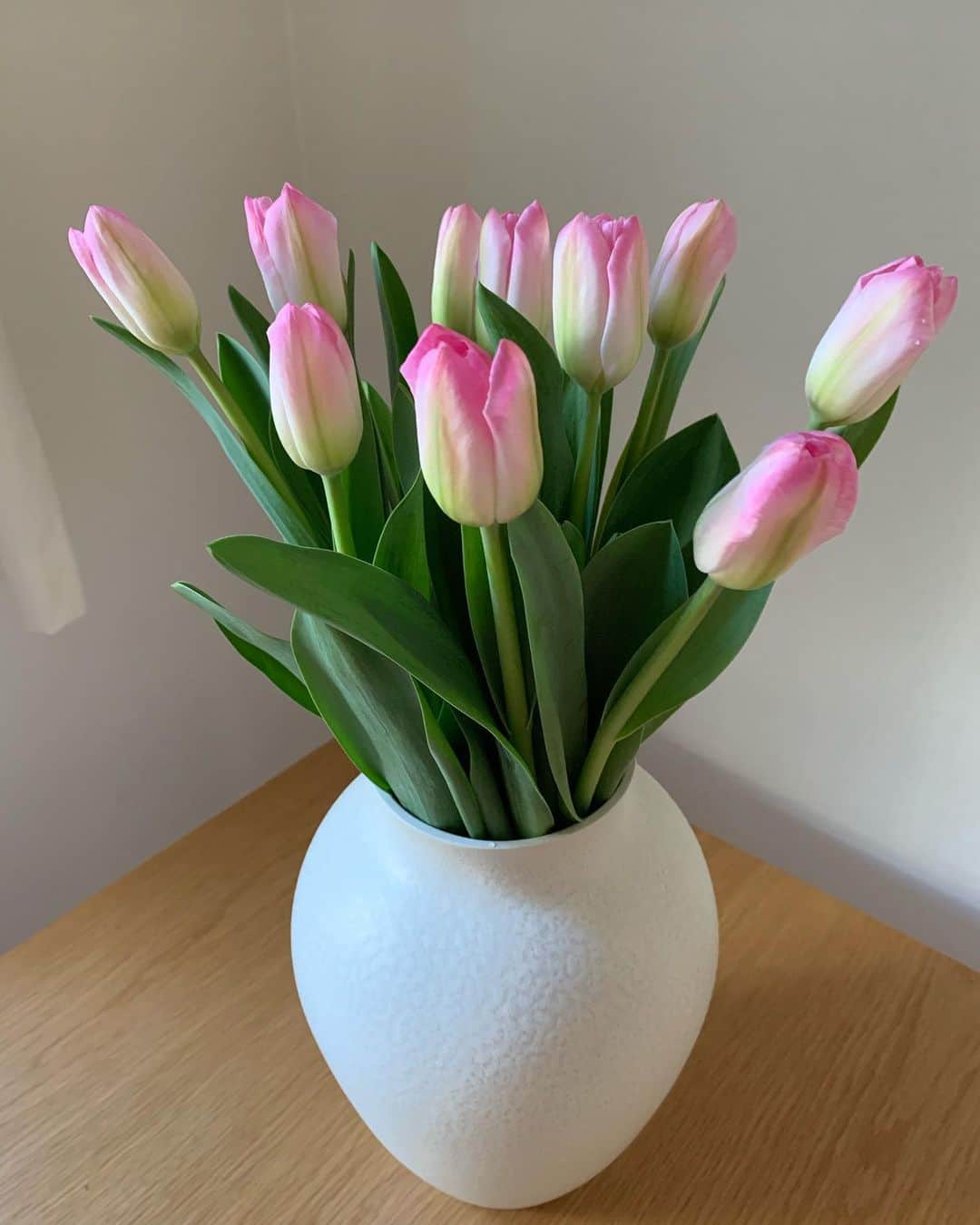 吉竹美聡のインスタグラム：「👩‍❤️‍💋‍👨Tulips🌸 かわいいチューリップが わが家に🌈」