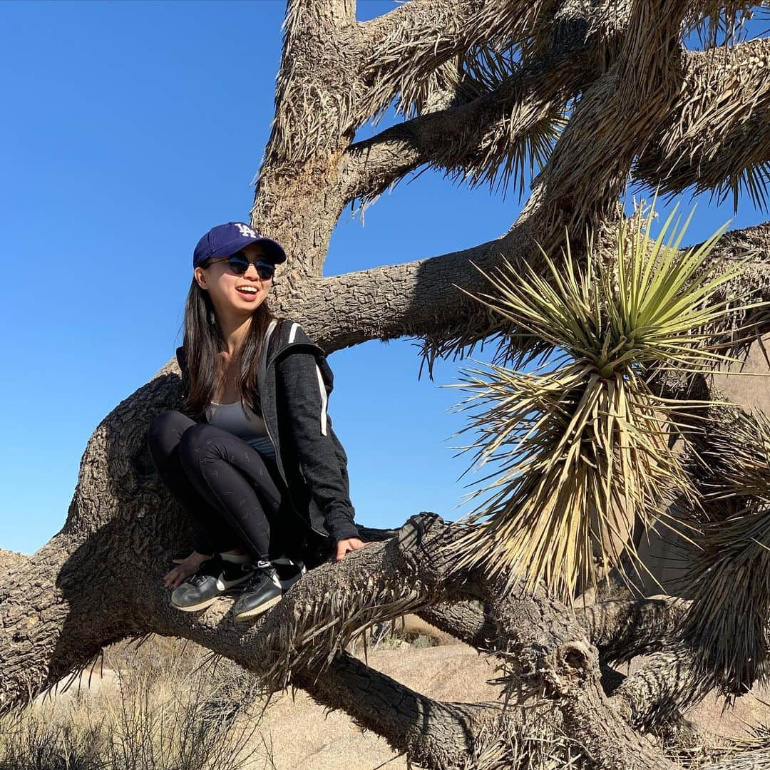 空まどかさんのインスタグラム写真 - (空まどかInstagram)「This is a Joshua Tree🌲  They were so strong like they would never fall down and leaves are super sharp like needles.   これがジョシュアツリーでございます！！めちゃくちゃ頑丈で私が乗ってもビクともしなかったし、葉っぱは触ったら怪我するくらい硬いよ。砂漠に生えてる植物やからほんとに強いんだよね。めちゃくちゃ生命の神秘を感じるよね🌵✨」3月17日 3時44分 - sky_madoka