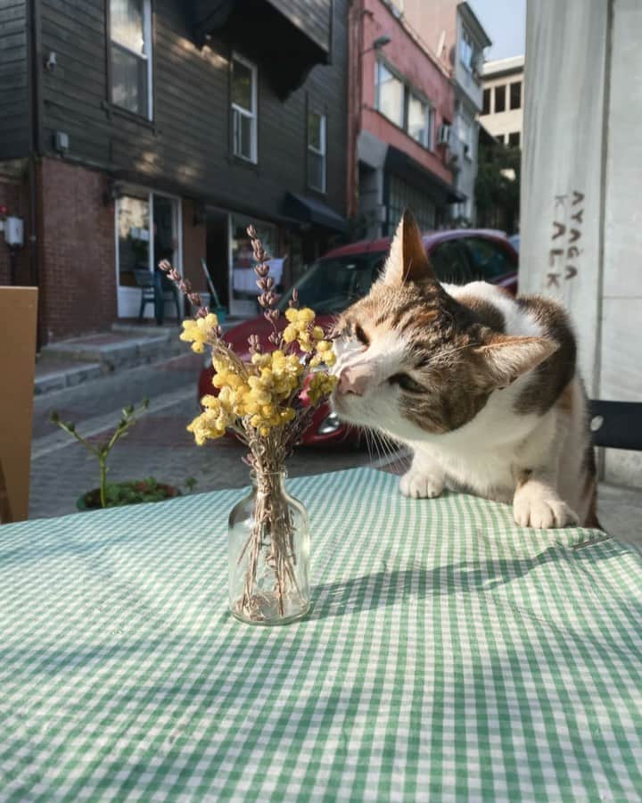 Mine Tugayのインスタグラム