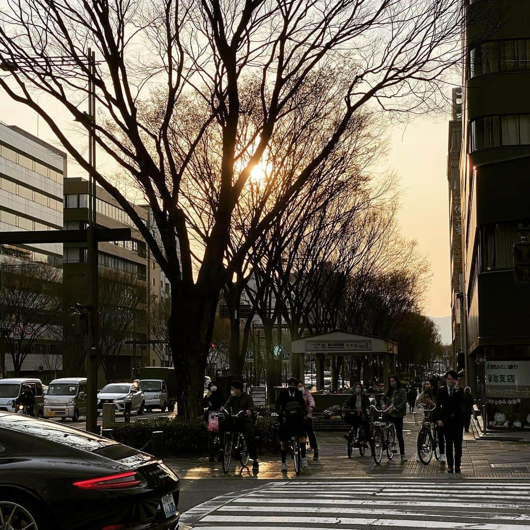 松本隆さんのインスタグラム写真 - (松本隆Instagram)「明日あたりはきっと春」3月17日 6時57分 - takashi_matsumoto_official