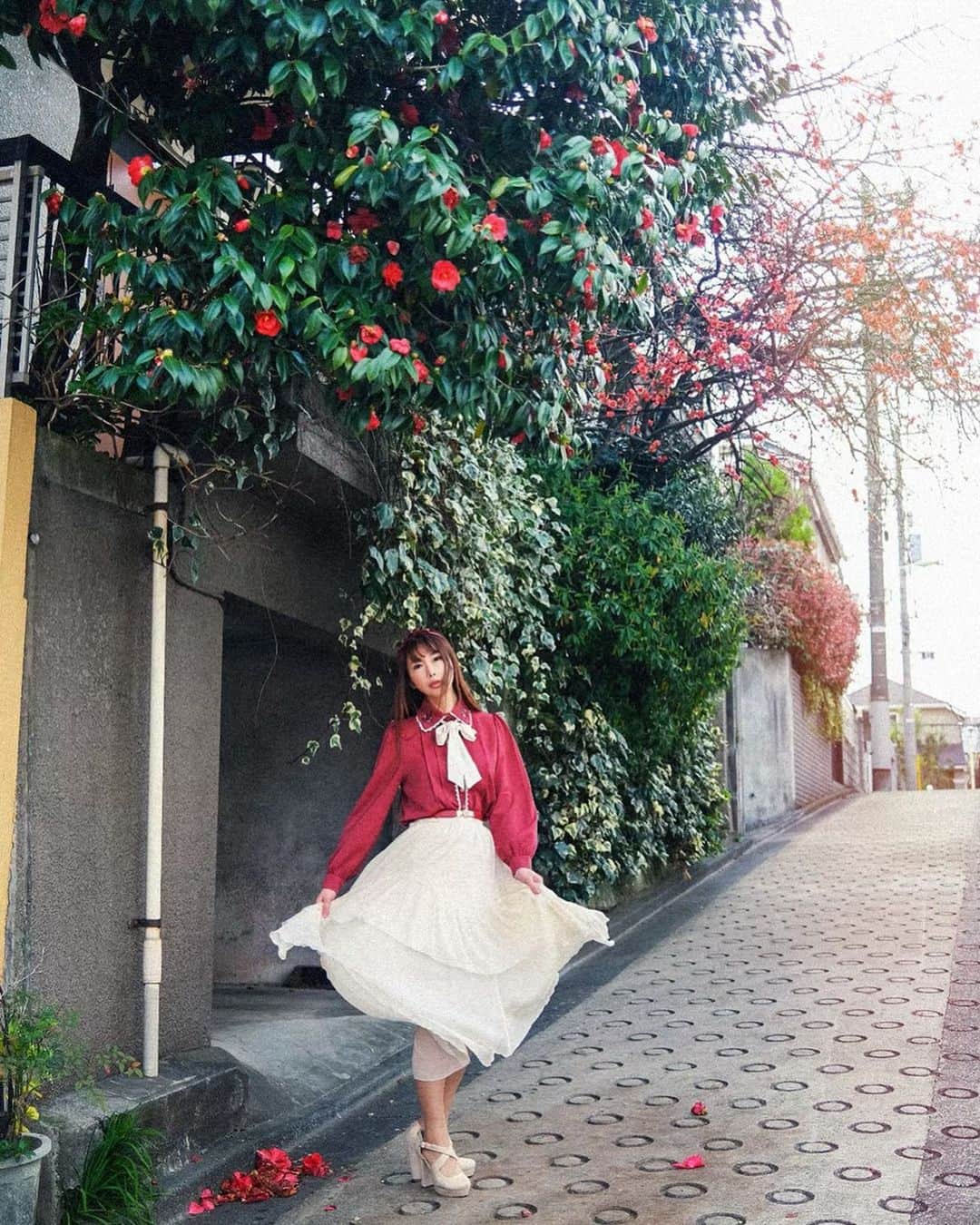 坂地久美さんのインスタグラム写真 - (坂地久美Instagram)「@kemonon.photo さんが素敵なお写真📸💕撮ってくれました💕  道で出会った椿の花🌺  儚げに散り落ちた花びらもなんだかステキ✨  #japan #japanesegirl #tubaki」3月17日 18時33分 - sakachikumi