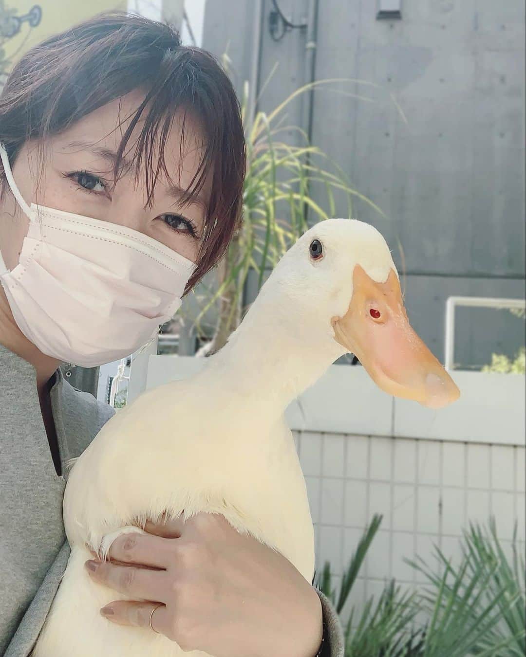 坂本美雨のインスタグラム