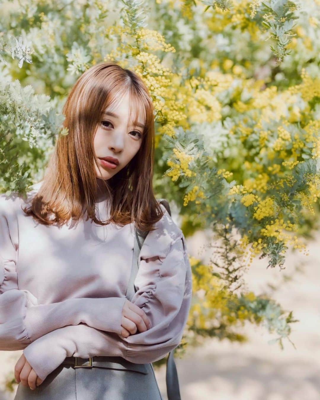 高村みどりのインスタグラム：「. . ミモザ🌼 可愛いし癒されたぁ👼🏻 一足先に春をかんじたよ💐 木漏れ日がとてもスキ👐🏻」