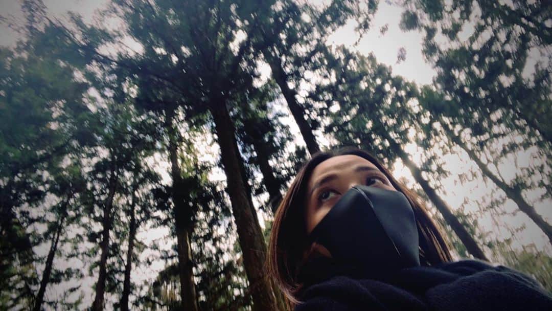 水崎綾女さんのインスタグラム写真 - (水崎綾女Instagram)「知らないうちに連写されてたけど、木のパワーを感じるショットだ🌲✨マスクしてなかったら絶対に口ぽかんってなってた笑。 #photo #tree #🌲 #自然 #パワースポット」3月17日 11時21分 - misakiayame