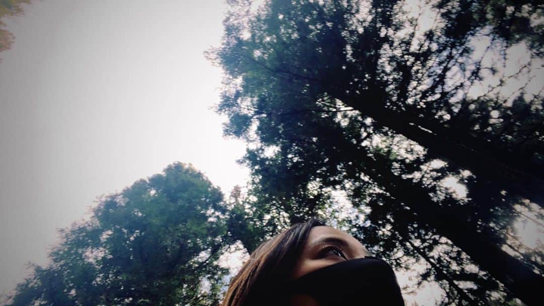 水崎綾女さんのインスタグラム写真 - (水崎綾女Instagram)「知らないうちに連写されてたけど、木のパワーを感じるショットだ🌲✨マスクしてなかったら絶対に口ぽかんってなってた笑。 #photo #tree #🌲 #自然 #パワースポット」3月17日 11時21分 - misakiayame