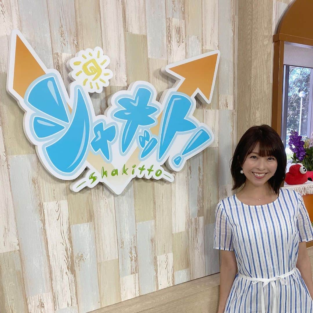 小尾渚沙さんのインスタグラム写真 - (小尾渚沙Instagram)「今朝の『シャキット！』の衣装です✨ #ファブリス さんのワンピースをお借りしました👗 . 今日も晴れて気持ちが良いですね☀️ 空を見上げて目をつぶって、伸びをしたくなる😆 . . さて週の真ん中水曜日！ 午後も張り切っていきましょう〜💕 . . . #スワイプしてね 👉👉 @eijikamata_fabrice  #fabrice #衣装提供 #衣装協力 #アナウンサー衣装  #女子アナコーデ #アナウンサー #女子アナ  #シャキット #チバテレ #tvk #テレ玉 #朝活  #ワンピース #ワンピース好き #外ハネボブ #春  #dress #fashion #japan #followｍe #instafashion  #フリーアナウンサー #小尾渚沙」3月17日 11時58分 - obi_nagisa