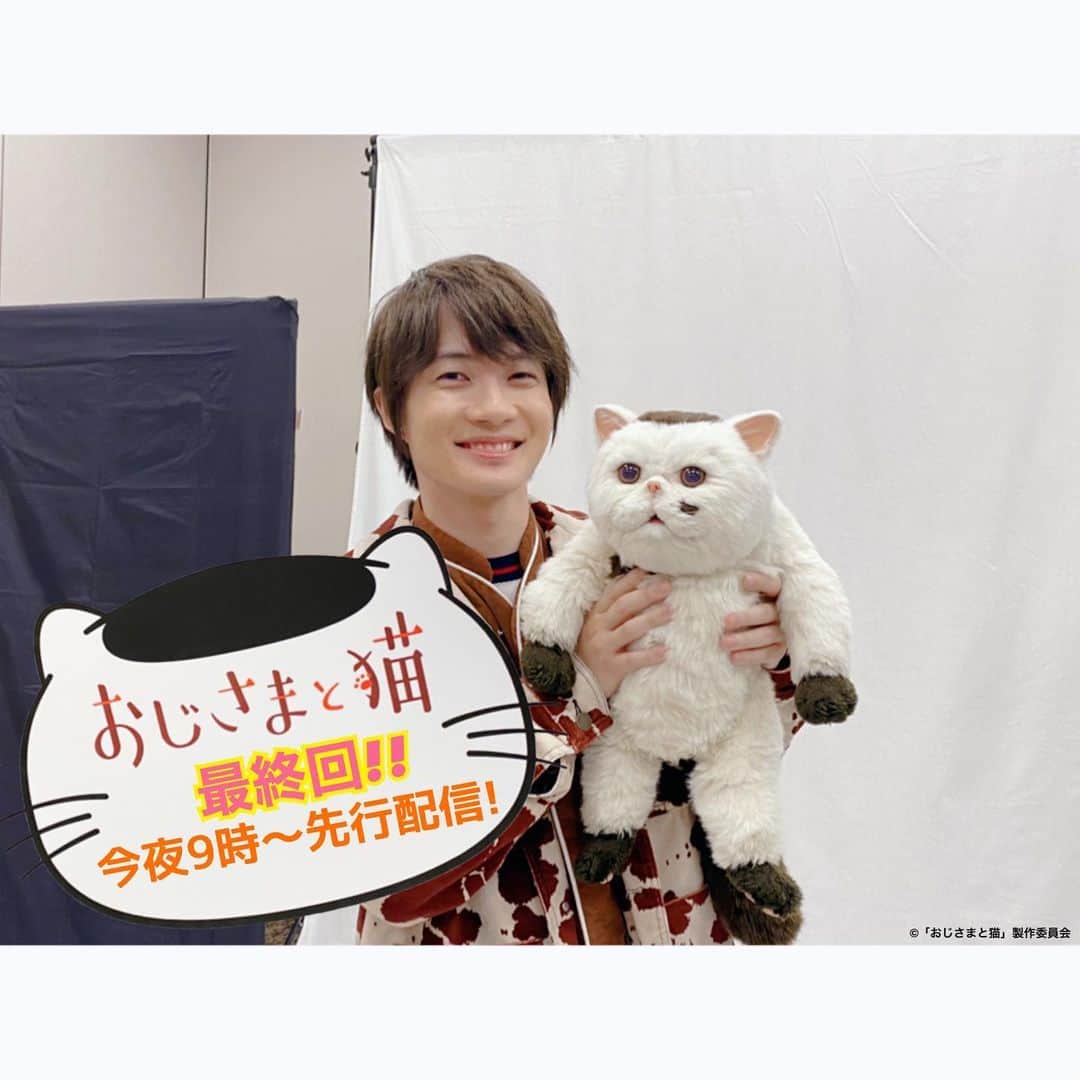 おじさまと猫のインスタグラム：「. ／ #おじさまと猫🐱 今日夜9時〜 #Paravi で最終回先行配信😭💓 ＼  いよいよクライマックス✨ 今夜一足先に配信です🎶  ふくまると紡いできた大切な時間が、神田を大きな一歩へと導きます🤲  一人と一匹の心温まる日々、 最後まで見届けてもらえたら嬉しいです🥰  #草刈正雄 #神木隆之介 #ふくまる #小関裕太 #武田玲奈 #平山浩行  #高橋ひとみ #升毅 #吉澤嘉代子 #阿部真央 #猫 #猫のいる暮らし」