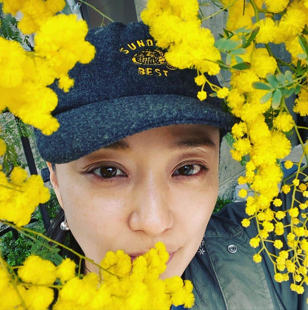 中越典子さんのインスタグラム写真 - (中越典子Instagram)「mimosa  むかし、仕事で行った先、イタリアでミモザの木に感動したなぁ  ほわほわの花 かわいいね  #ミモザ #sundaysbest」3月17日 15時53分 - nakagoshi_noriko.official