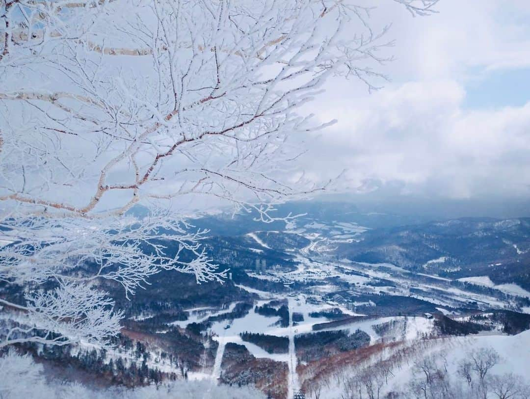 星野リゾート　トマムさんのインスタグラム写真 - (星野リゾート　トマムInstagram)「Today’s Hoshino Resorts TOMAMU  5㎝程軽い雪が降り、早朝には山頂付近で霧氷も発生しました。 春が近づいてきましたが、まだまだパウダースノーをお楽しみいただけます！  #HoshinoResorts #星野リゾート #tomamu #hoshinoresortstomamu #星野リゾートトマム #トマム #risonaretomamu #リゾナーレトマム #risonare #リゾナーレ #北海道旅行 #星野集團 #Hokkaidotrip」3月17日 16時36分 - hoshinoresorts_tomamu