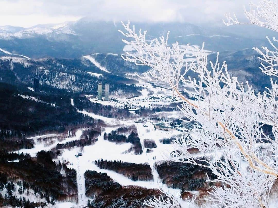 星野リゾート　トマムのインスタグラム：「Today’s Hoshino Resorts TOMAMU  5㎝程軽い雪が降り、早朝には山頂付近で霧氷も発生しました。 春が近づいてきましたが、まだまだパウダースノーをお楽しみいただけます！  #HoshinoResorts #星野リゾート #tomamu #hoshinoresortstomamu #星野リゾートトマム #トマム #risonaretomamu #リゾナーレトマム #risonare #リゾナーレ #北海道旅行 #星野集團 #Hokkaidotrip」