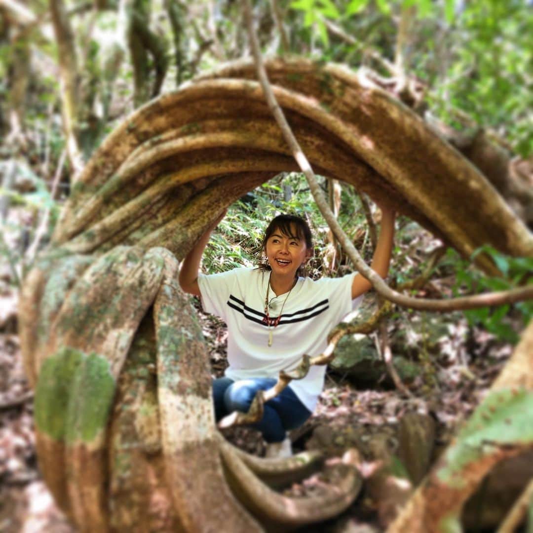 田中律子のインスタグラム