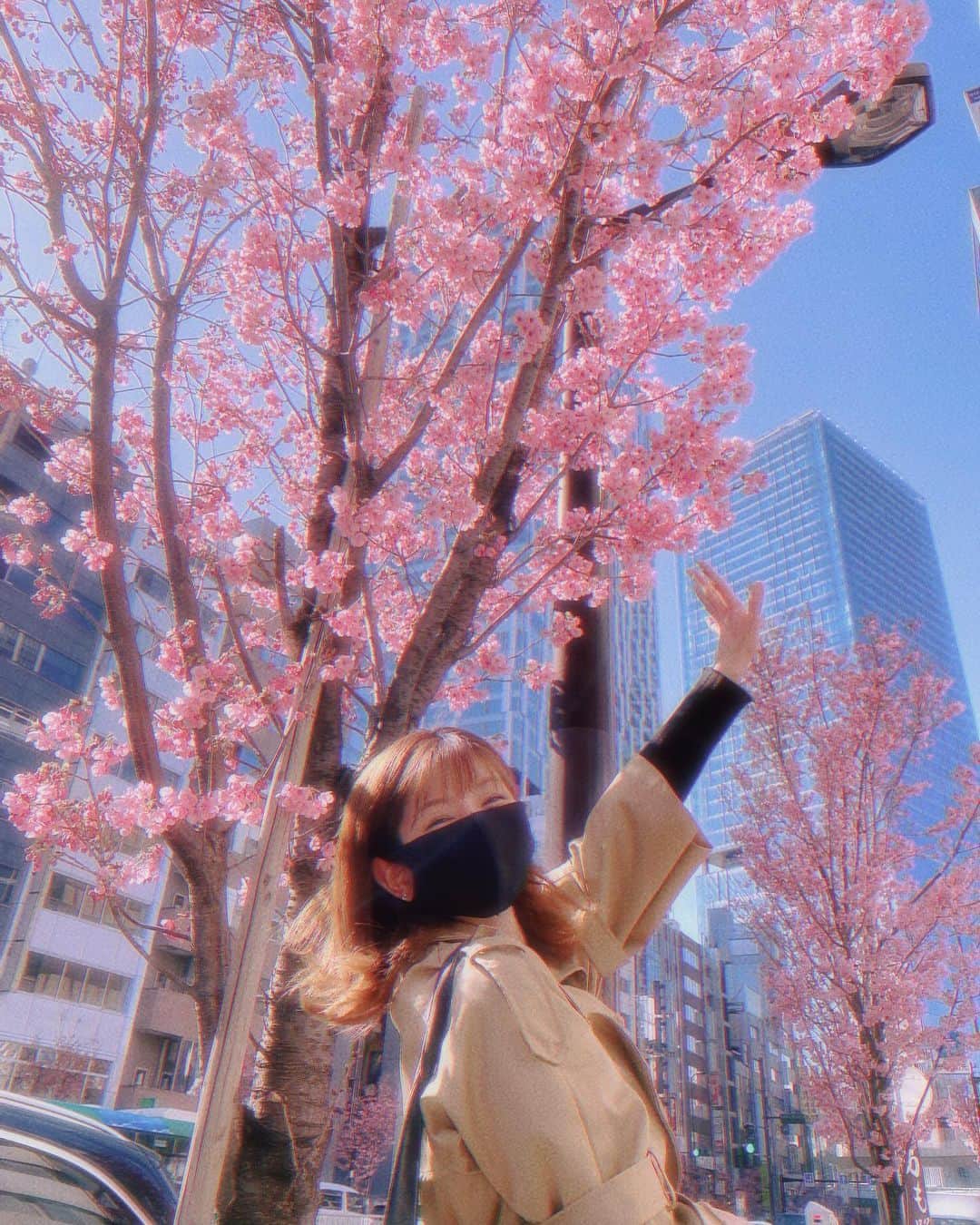谷川愛梨のインスタグラム：「春🌸」
