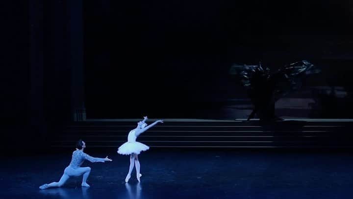 ドロテ・ジルベールのインスタグラム：「Souvenirs du Lac des cygnes en 2019. Avec @humarchand  . #swanlake #ballet #tchaikovski #hugomarchand」