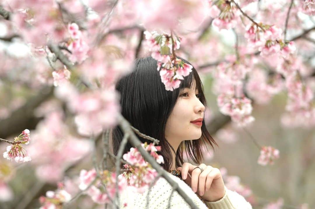 志茂彩奈のインスタグラム：「春さきどり🌸  #被写体#大阪#関西カメラ部#ポートレート#ポートレートモデル#桜#春#カメラマンさんと繋がりたい#カメラ好きな人と繋がりたい#サロンモデル#サロンモデル希望#何気ない瞬間を残したい#ファインダー越しの私の世界#その瞬間に物語を#幸せな瞬間をもっと世界に」