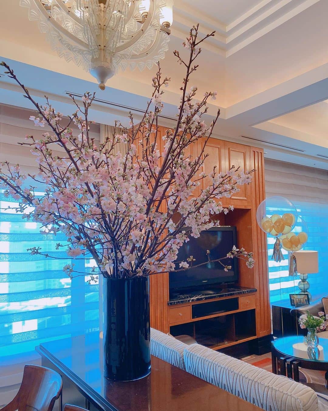 石田安奈のインスタグラム：「素敵な桜❤️ 今年はお部屋でお花見〜🌸🌸🌸  #開花  #桜　#さくら  #花見#sakura」
